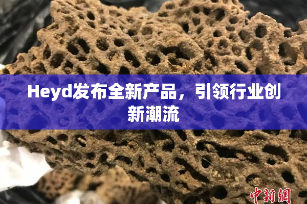 Heyd发布全新产品，引领行业创新潮流
