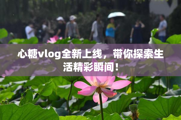 心糖vlog全新上线，带你探索生活精彩瞬间！