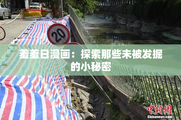 羞羞日漫画：探索那些未被发掘的小秘密