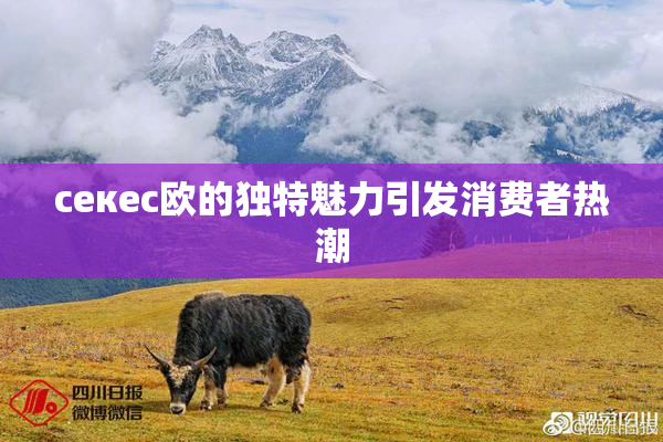 ceкес欧的独特魅力引发消费者热潮