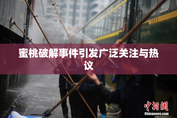 蜜桃破解事件引发广泛关注与热议
