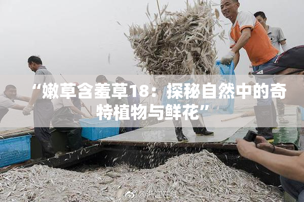“嫩草含羞草18：探秘自然中的奇特植物与鲜花”