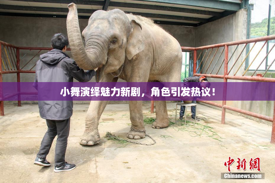小舞演绎魅力新剧，角色引发热议！