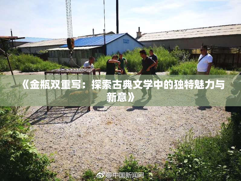 《金瓶双重写：探索古典文学中的独特魅力与新意》
