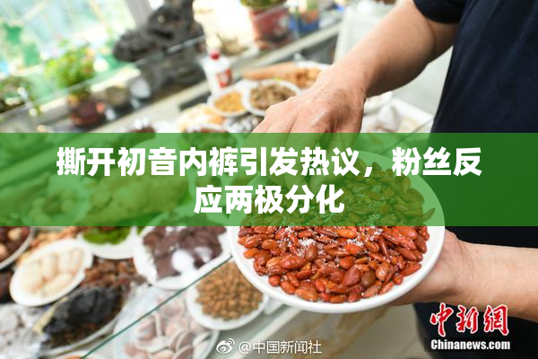 撕开初音内裤引发热议，粉丝反应两极分化