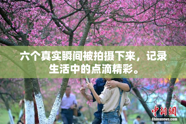 六个真实瞬间被拍摄下来，记录生活中的点滴精彩。