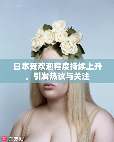 日本受欢迎程度持续上升，引发热议与关注