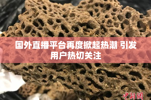 国外直播平台再度掀起热潮 引发用户热切关注
