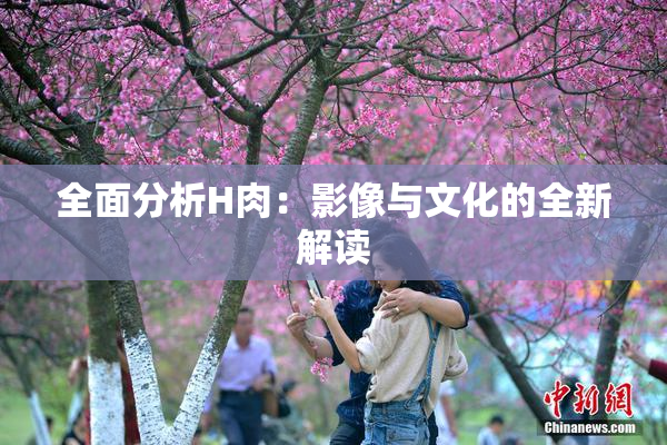 全面分析H肉：影像与文化的全新解读