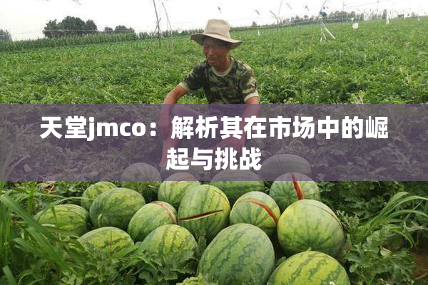天堂jmco：解析其在市场中的崛起与挑战