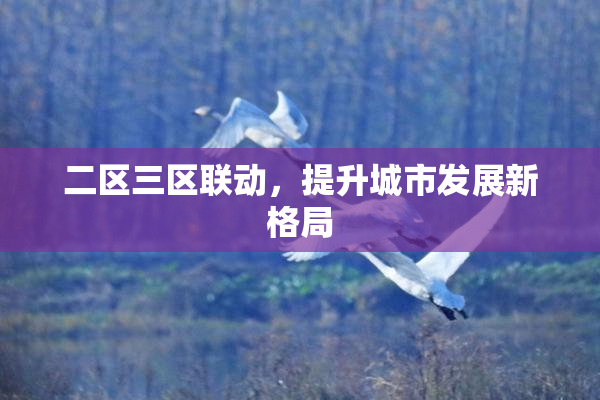 二区三区联动，提升城市发展新格局