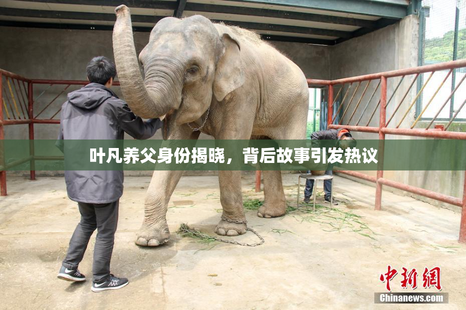 叶凡养父身份揭晓，背后故事引发热议