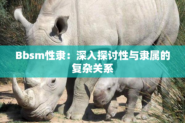 Bbsm性隶：深入探讨性与隶属的复杂关系