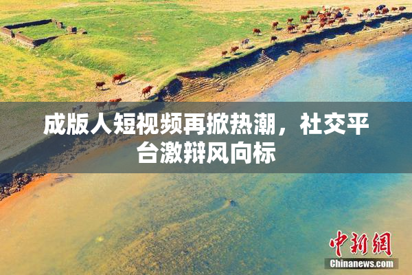 成版人短视频再掀热潮，社交平台激辩风向标