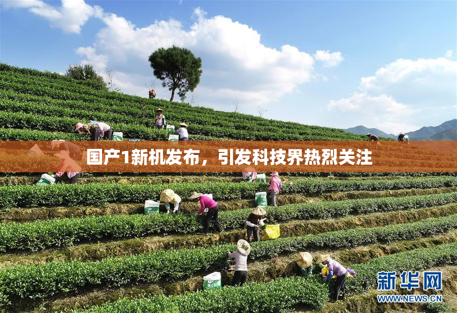 国产1新机发布，引发科技界热烈关注