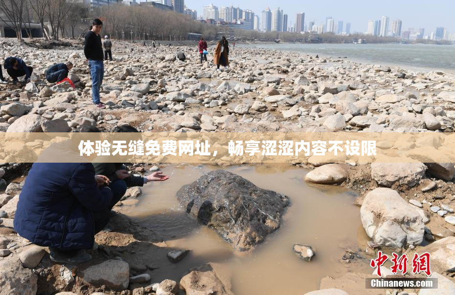 体验无缝免费网址，畅享涩涩内容不设限