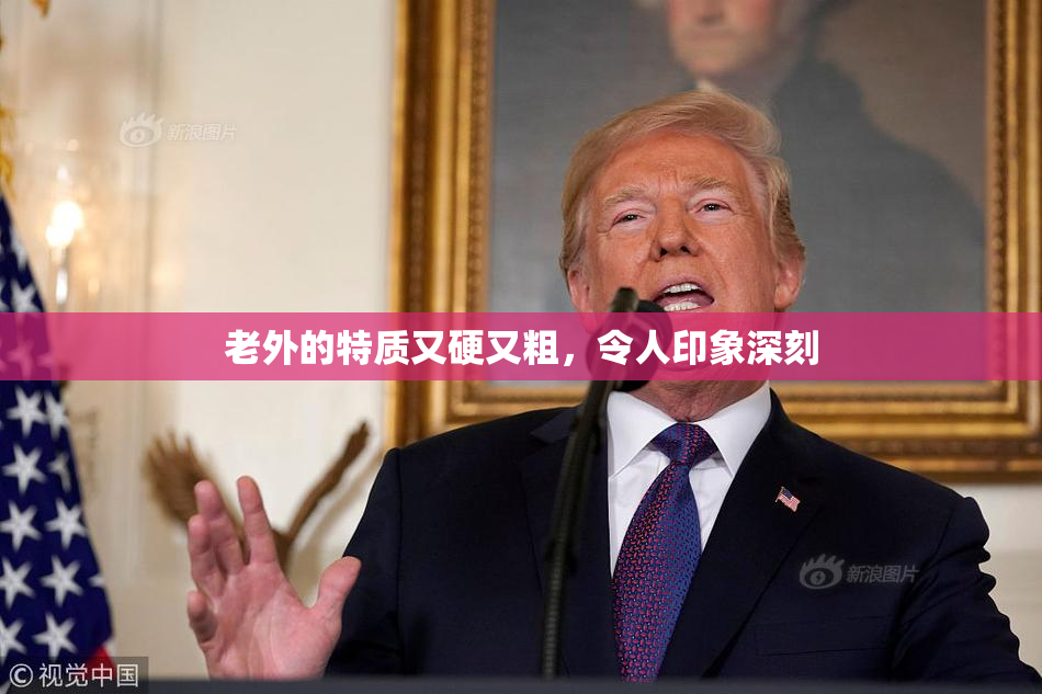 老外的特质又硬又粗，令人印象深刻