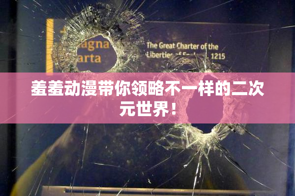 羞羞动漫带你领略不一样的二次元世界！