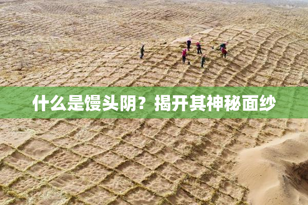 什么是馒头阴？揭开其神秘面纱