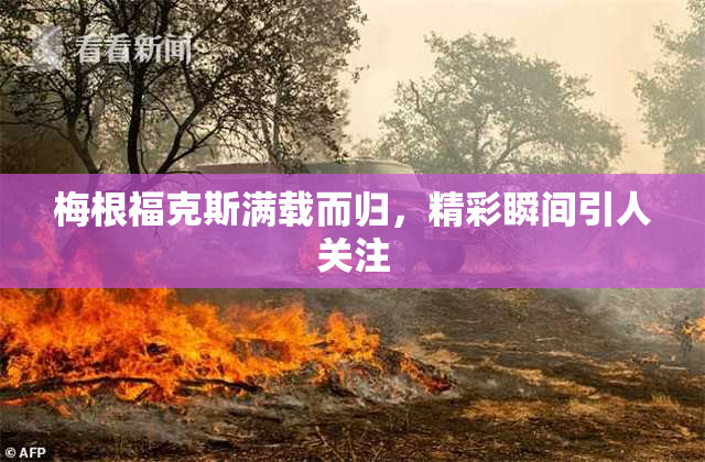 梅根福克斯满载而归，精彩瞬间引人关注