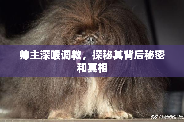 帅主深喉调教，探秘其背后秘密和真相