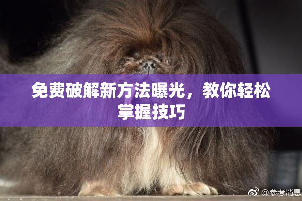 免费破解新方法曝光，教你轻松掌握技巧