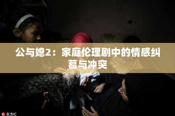公与媳2：家庭伦理剧中的情感纠葛与冲突