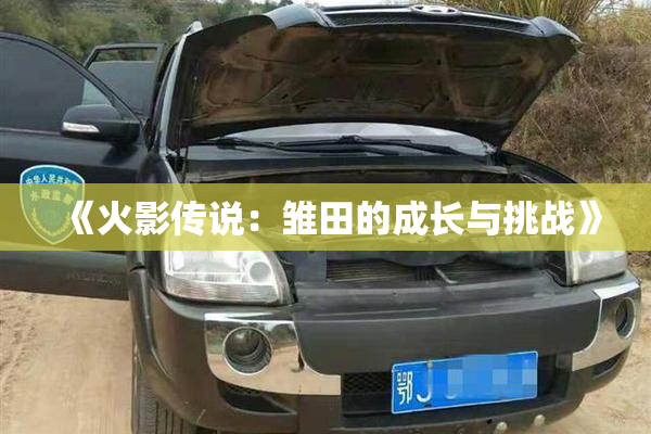 《火影传说：雏田的成长与挑战》