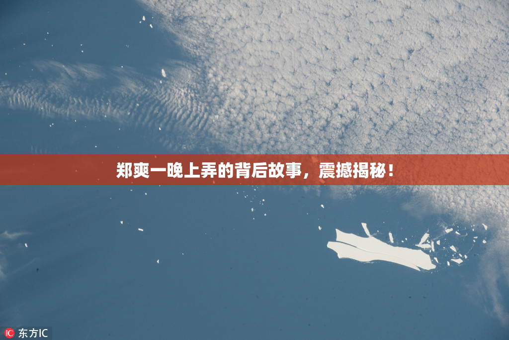 郑爽一晚上弄的背后故事，震撼揭秘！