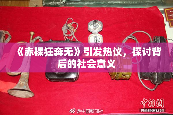 《赤裸狂奔无》引发热议，探讨背后的社会意义