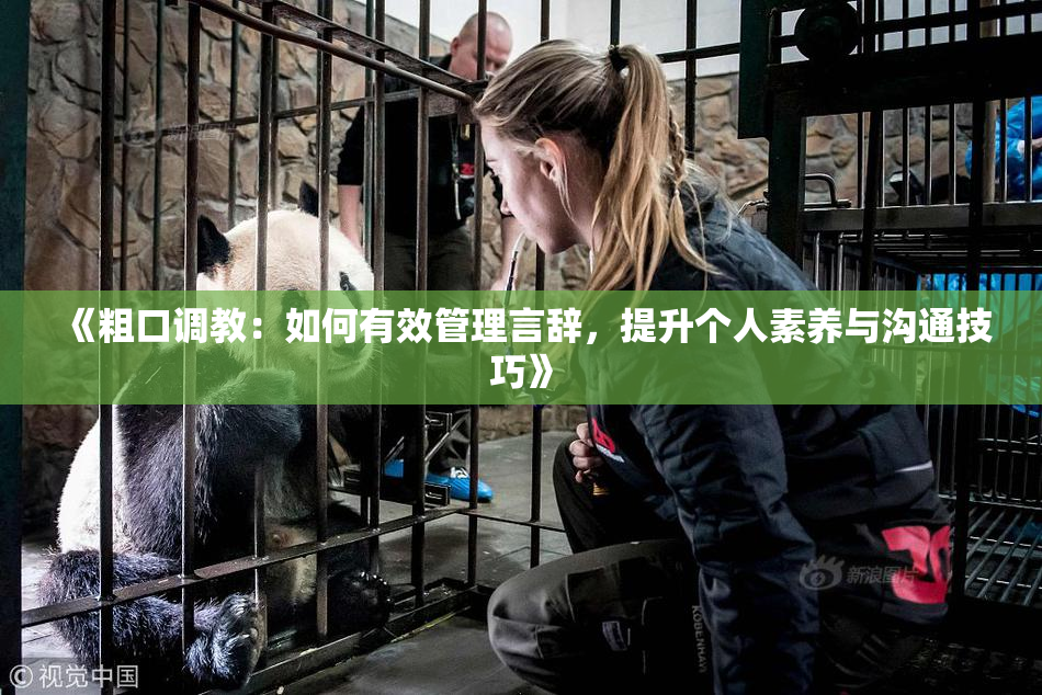《粗口调教：如何有效管理言辞，提升个人素养与沟通技巧》