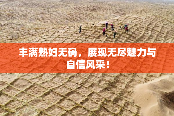 丰满熟妇无码，展现无尽魅力与自信风采！