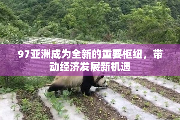 97亚洲成为全新的重要枢纽，带动经济发展新机遇