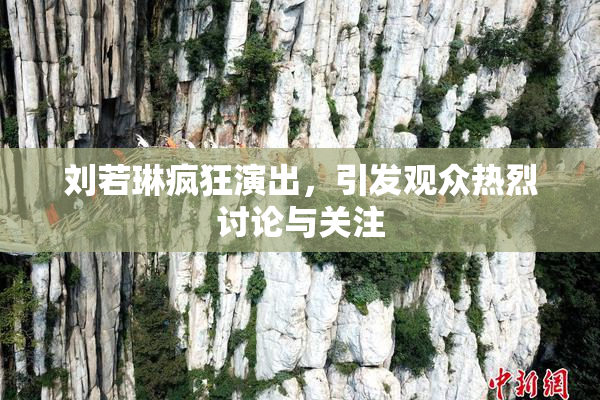 刘若琳疯狂演出，引发观众热烈讨论与关注