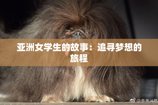 亚洲女学生的故事：追寻梦想的旅程