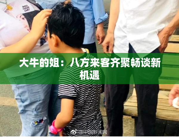 大牛的姐：八方来客齐聚畅谈新机遇