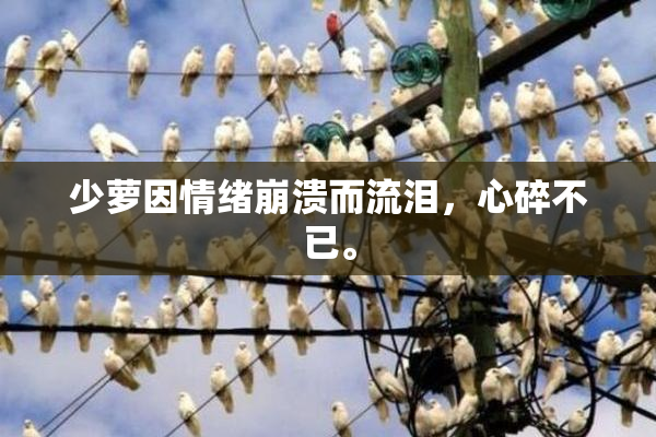 少萝因情绪崩溃而流泪，心碎不已。