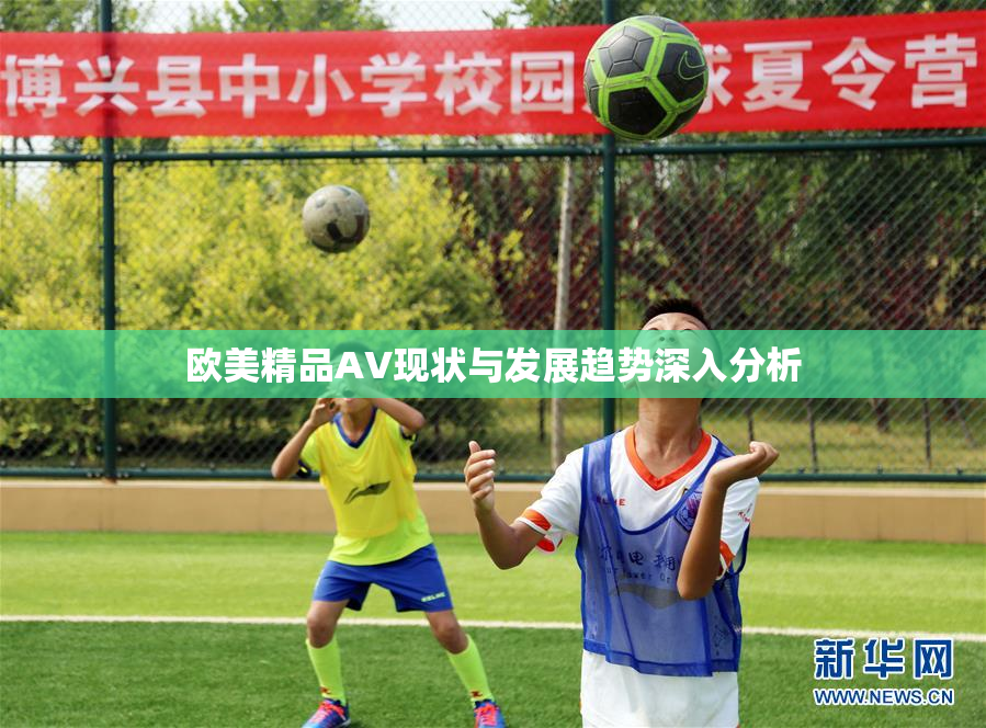 欧美精品AV现状与发展趋势深入分析