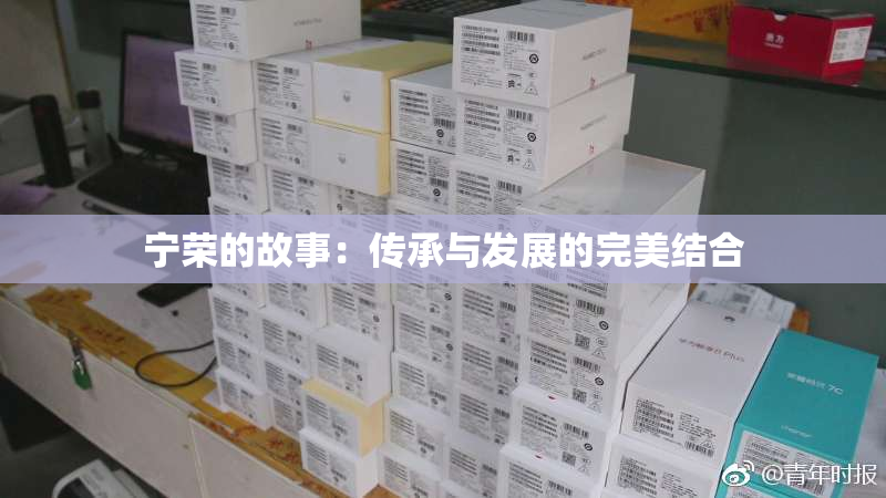 宁荣的故事：传承与发展的完美结合