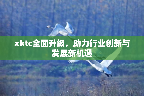 xktc全面升级，助力行业创新与发展新机遇