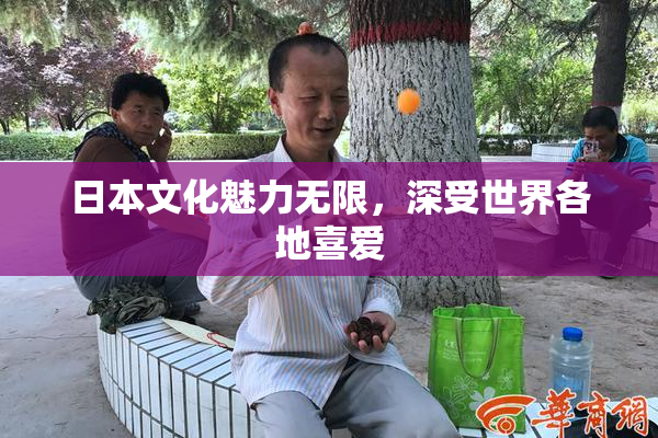 日本文化魅力无限，深受世界各地喜爱