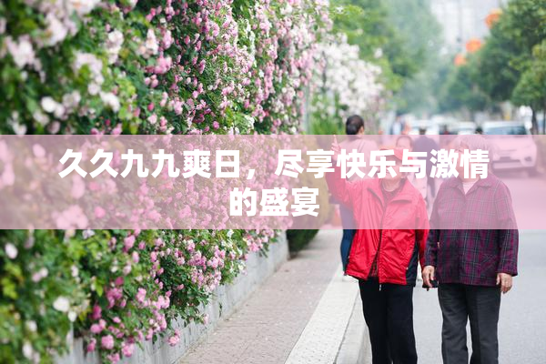 久久九九爽日，尽享快乐与激情的盛宴