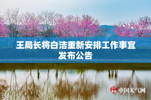 王局长将白洁重新安排工作事宜发布公告