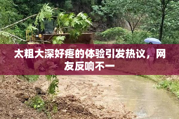 太粗大深好疼的体验引发热议，网友反响不一