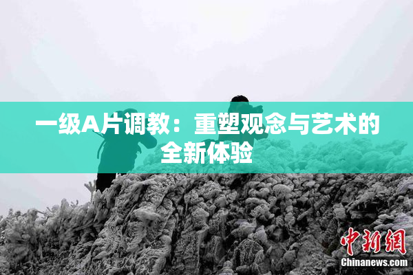 一级A片调教：重塑观念与艺术的全新体验