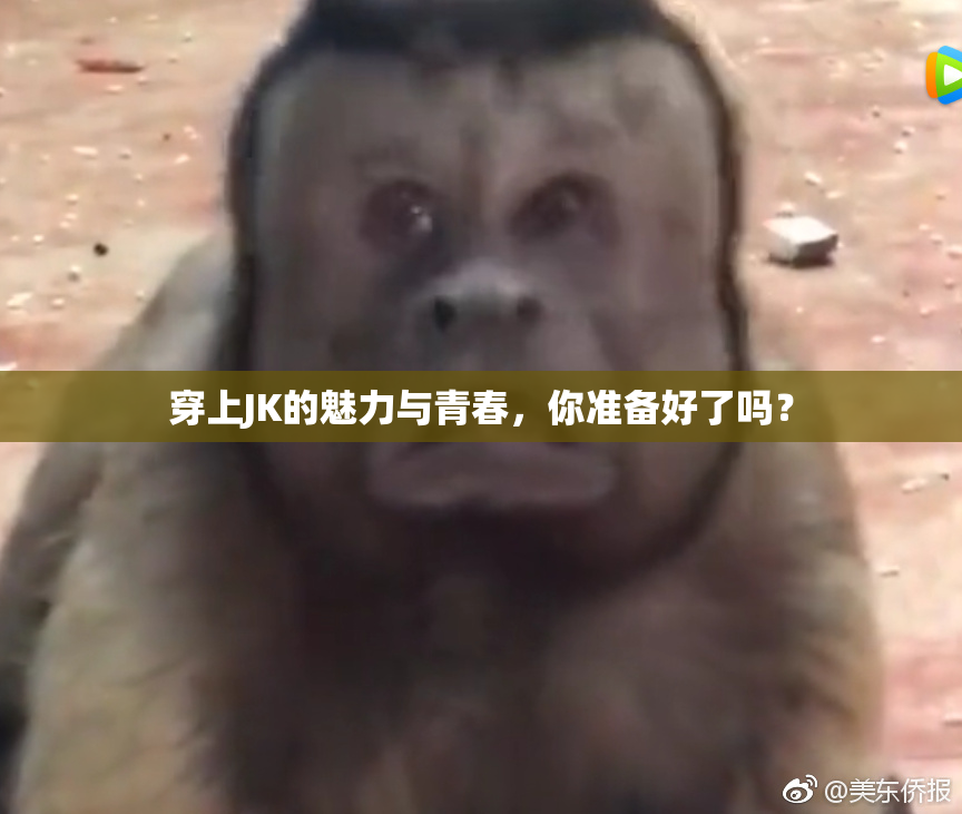 穿上JK的魅力与青春，你准备好了吗？