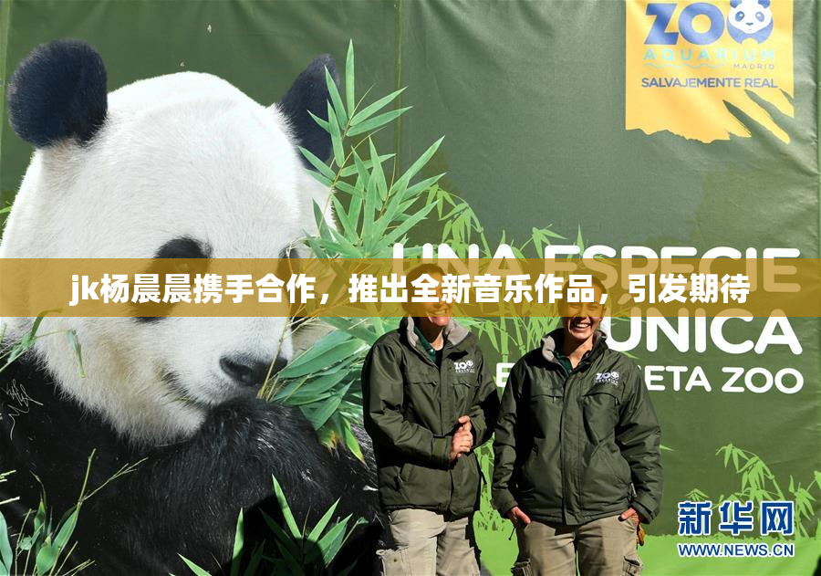 jk杨晨晨携手合作，推出全新音乐作品，引发期待