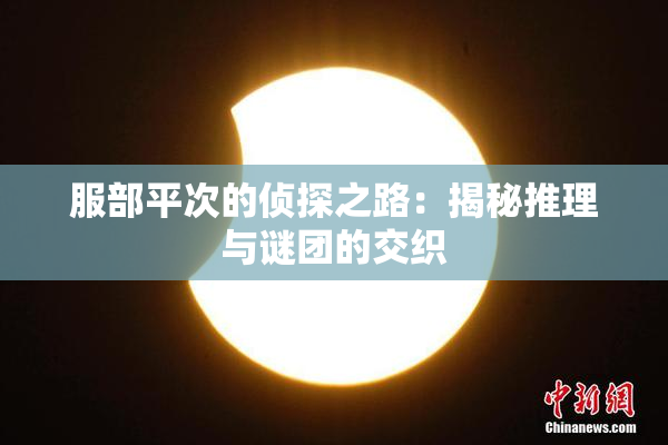 服部平次的侦探之路：揭秘推理与谜团的交织