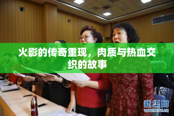 火影的传奇重现，肉质与热血交织的故事