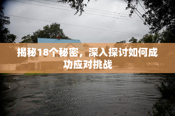 揭秘18个秘密，深入探讨如何成功应对挑战